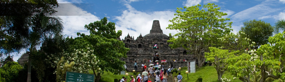 Contact Us Header Image